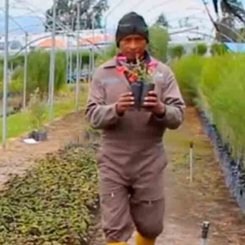 VIVERO MUNICIPAL DE LATACUNGA IMPULSA LA REFORESTACIÓN Y EL EMBELLECIMIENTO DE BARRIOS Y COMUNIDADES