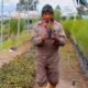VIVERO MUNICIPAL DE LATACUNGA IMPULSA LA REFORESTACIÓN Y EL EMBELLECIMIENTO DE BARRIOS Y COMUNIDADES