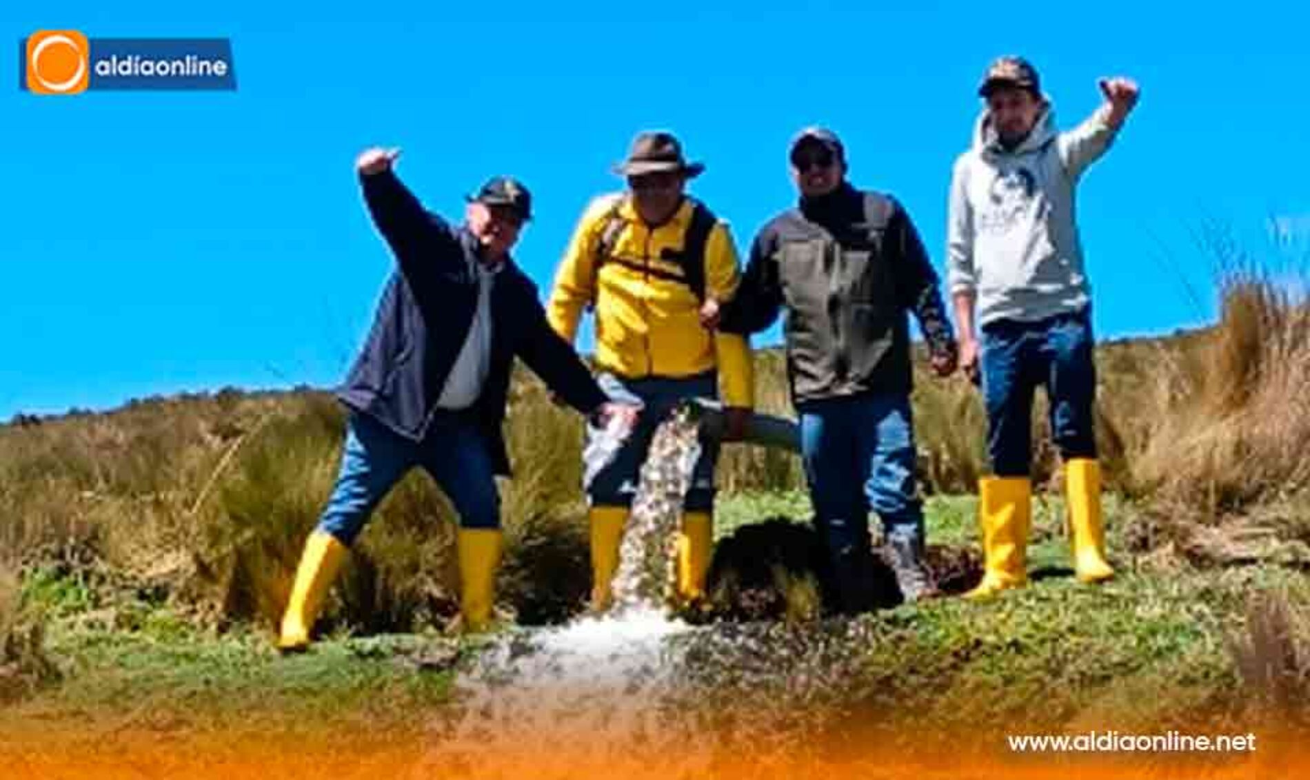 PREFECTURA DE COTOPAXI FORTALECE SISTEMA DE RIEGO CON OBRA CLAVE EN PANSACHE CON LA JUNTA LAIPO CHICO