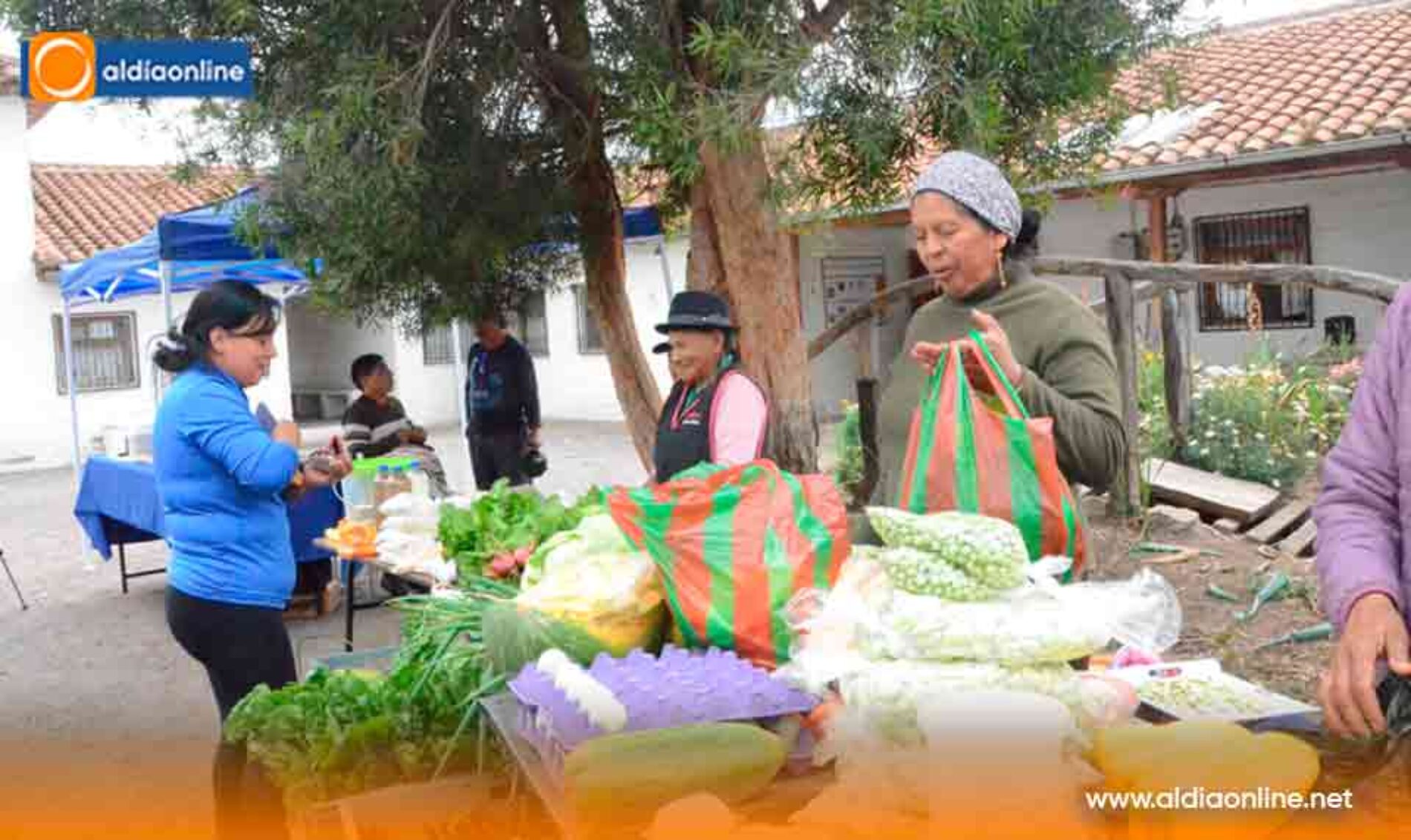 MISIÓN SCALABRINIANA FORTALECEN ORGANIZACIÓN COMUNITARIA CON FERIA AGROECOLÓGICA EN PUJILÍ (Video)