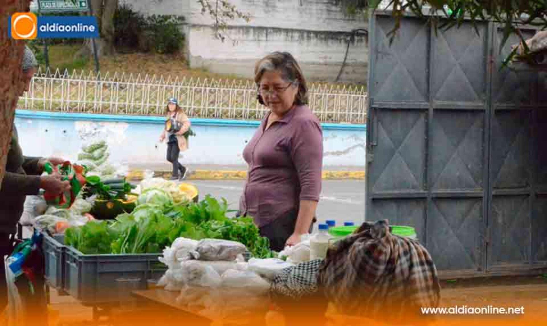 MISIÓN SCALABRINIANA FORTALECEN ORGANIZACIÓN COMUNITARIA CON FERIA AGROECOLÓGICA EN PUJILÍ (Video)