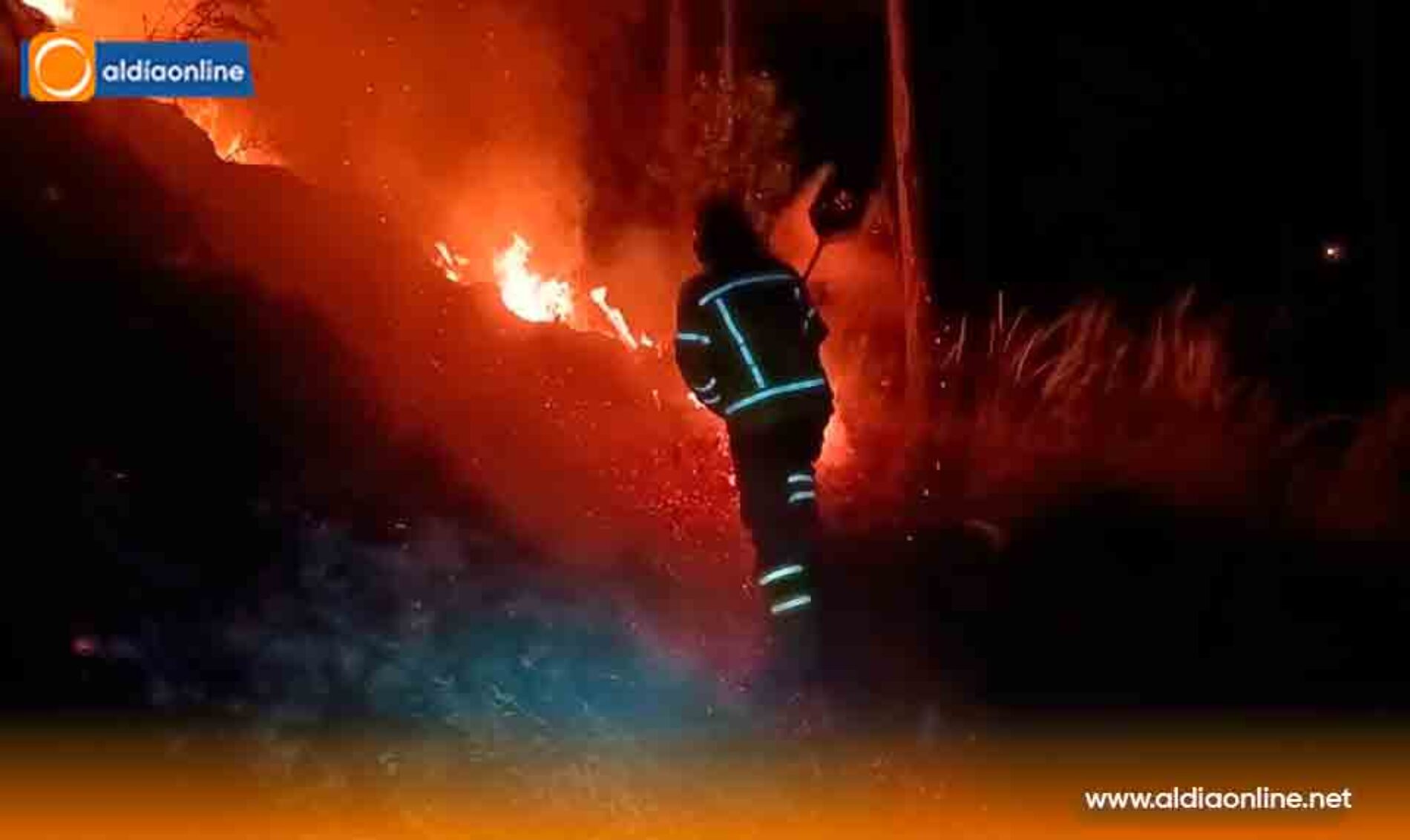 BOMBEROS DE LATACUNGA CONTROLAN INCENDIO FORESTAL EN EL SECTOR VERDE COCHA
