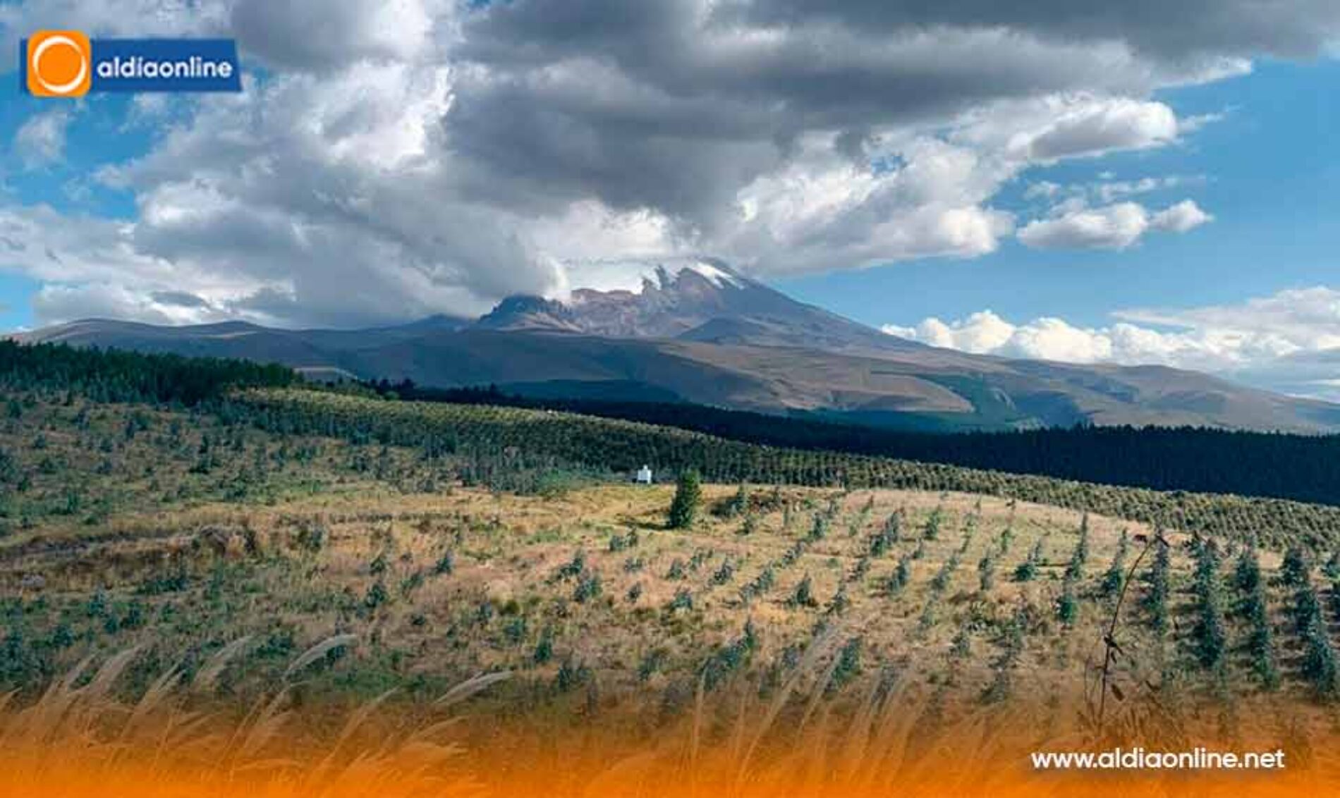 GOBIERNO NACIONAL IMPULSA LA PRODUCCIÓN FORESTAL SOSTENIBLE Y LAS EXPORTACIONES CON ASISTENCIA TÉCNICA E INCENTIVOS