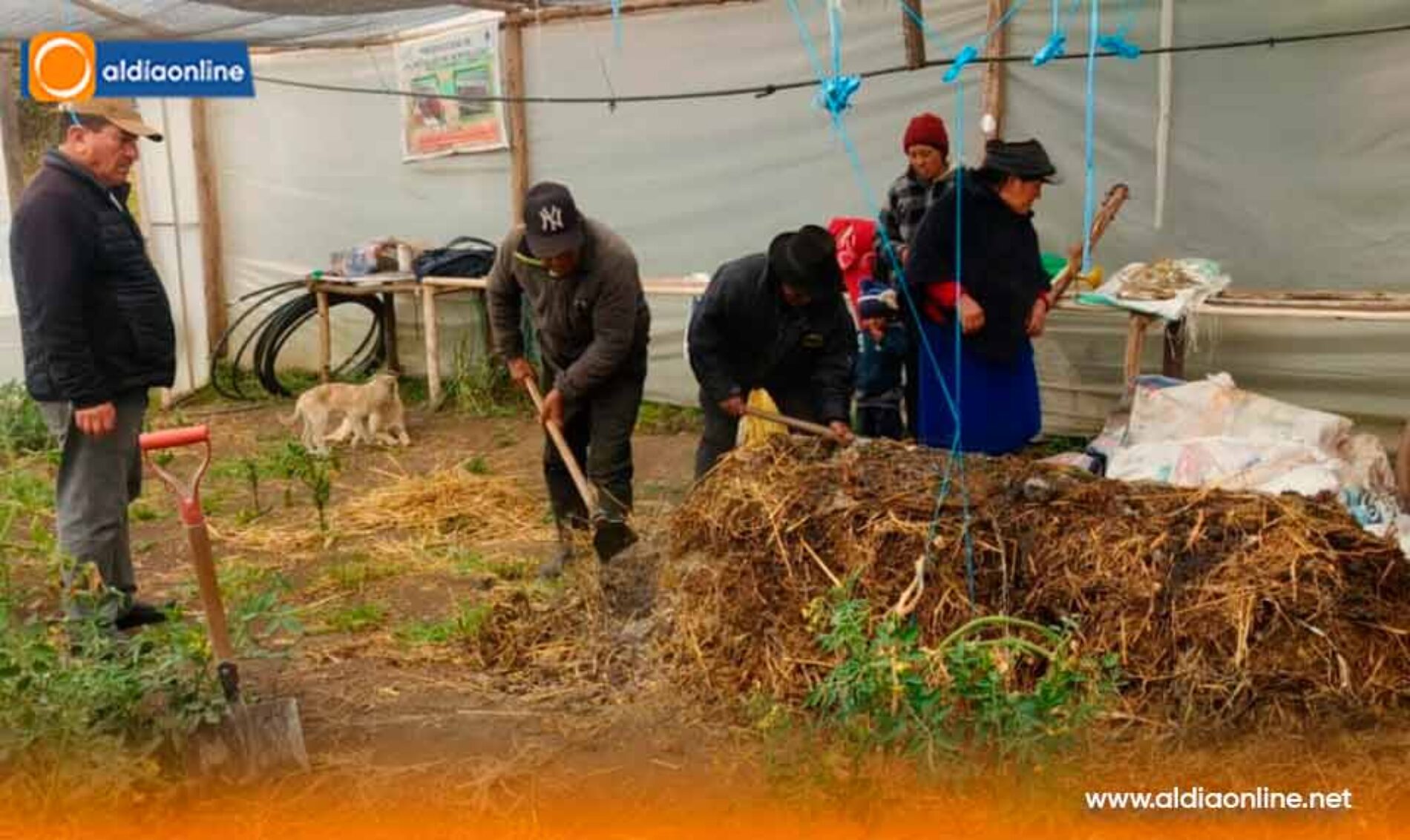 5.717 PRODUCTORES AGROPECUARIOS YA RECIBEN ASISTENCIA TÉCNICA PERSONALIZADA EN SUS PROPIOS PREDIOS