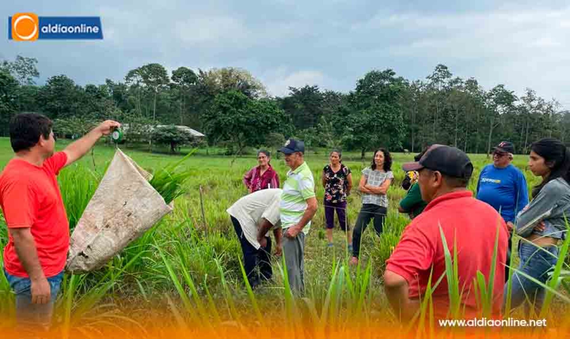 GOBIERNO IMPULSA MEDIDAS PREVENTIVAS PARA CUIDAR AL GANADO ANTE EVENTUAL PRESENCIA DE EL NIÑO