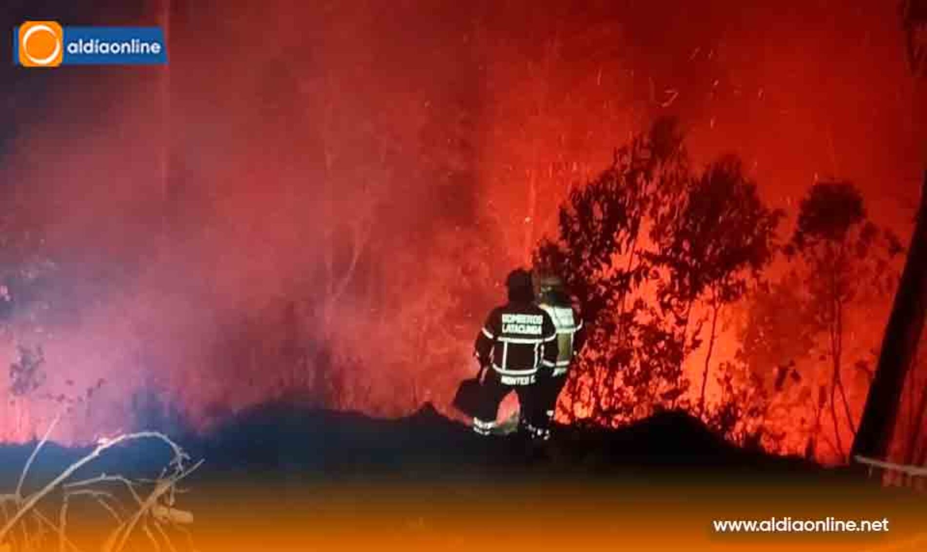 BOMBEROS DE LATACUNGA CONTROLAN INCENDIO FORESTAL EN EL SECTOR VERDE COCHA