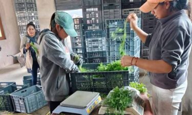5.717 PRODUCTORES AGROPECUARIOS YA RECIBEN ASISTENCIA TÉCNICA PERSONALIZADA EN SUS PROPIOS PREDIOS