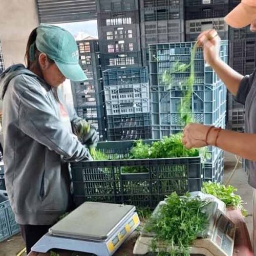5.717 PRODUCTORES AGROPECUARIOS YA RECIBEN ASISTENCIA TÉCNICA PERSONALIZADA EN SUS PROPIOS PREDIOS