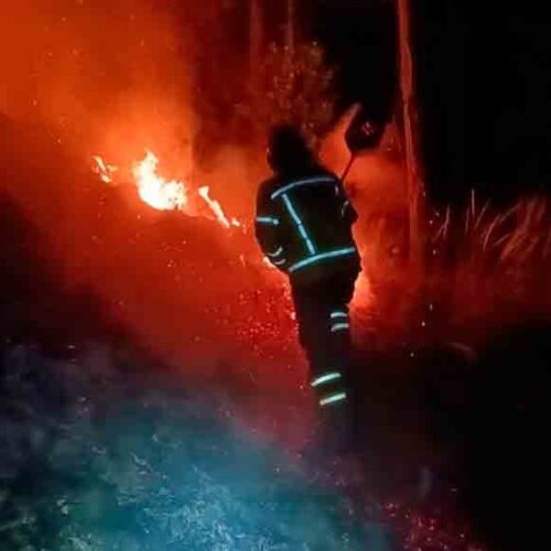 BOMBEROS DE LATACUNGA CONTROLAN INCENDIO FORESTAL EN EL SECTOR VERDE COCHA