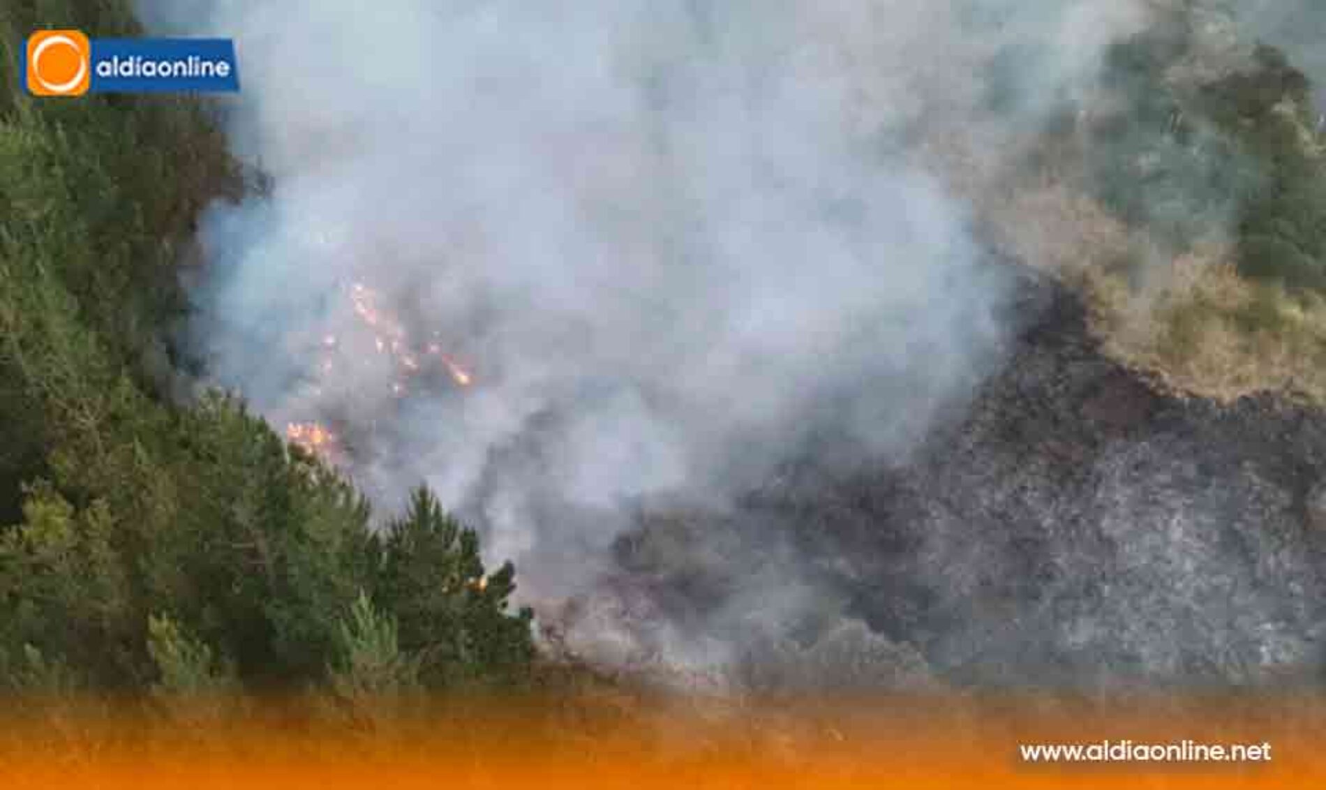 INCENDIO FORESTAL EN SIGCHOS CONTROLADO EN SU TOTALIDAD, EN ACCIÓN CONJUNTA DE INSTITUCIONES