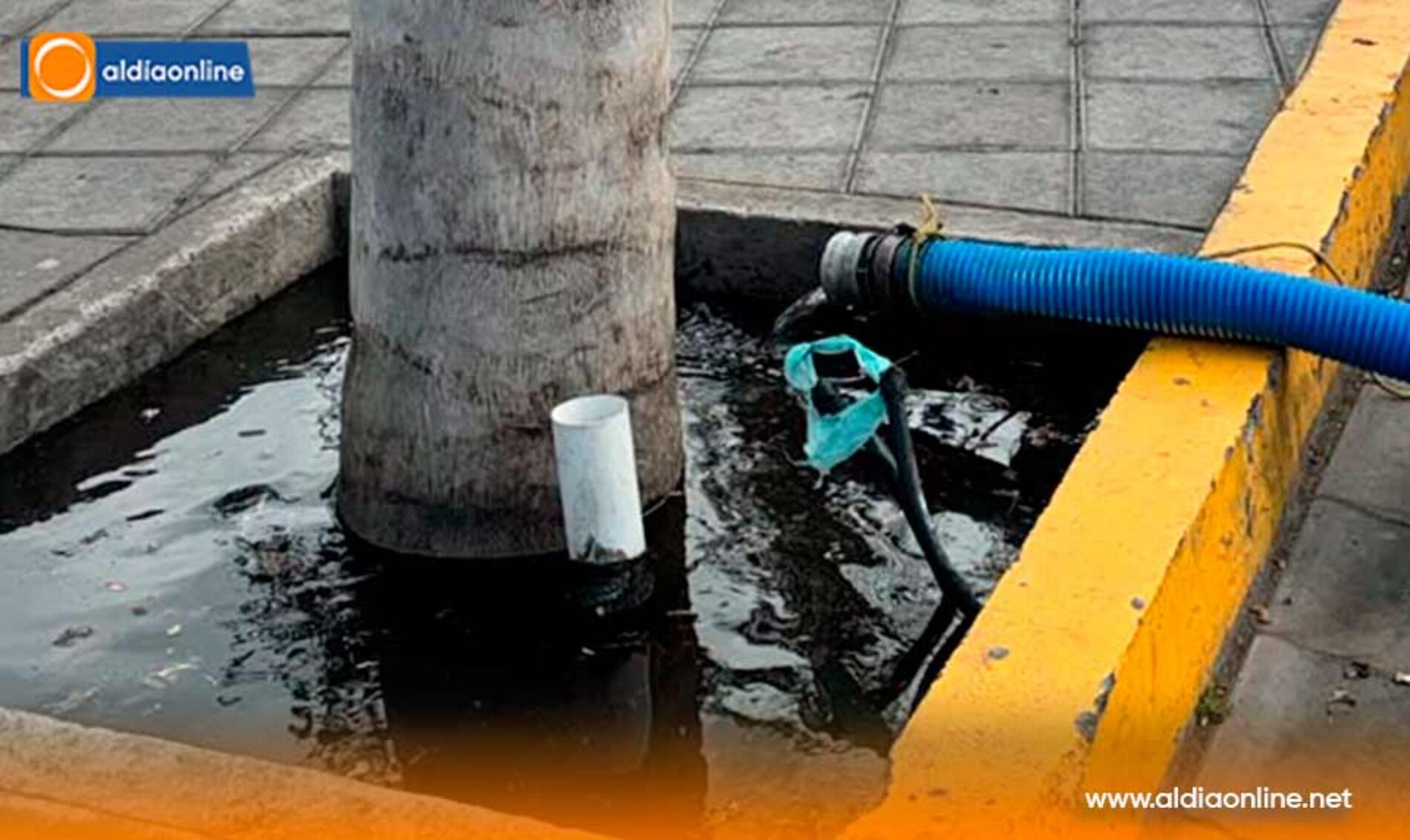 MUNICIPIO DE PUJILÍ REFUERZA EL MANTENIMIENTO DE PLAZAS Y ESPACIOS COMERCIALES DEL CANTÓN