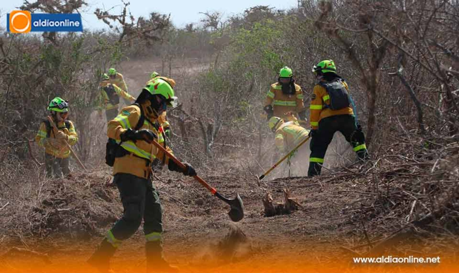 CUERPO DE BOMBEROS DE LATACUNGA SE FORTALECE  EN LA FORMACIÓN DE BOMBEROS FORESTALES Y CONSOLIDA COOPERACIÓN CON MANTA