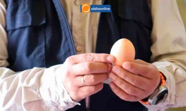 PRECIO DEL HUEVO GENERA CONTROLES  EN LATACUNGA A DISTRIBUIDORES ANTE ESPECULACIÓN DE ALZA