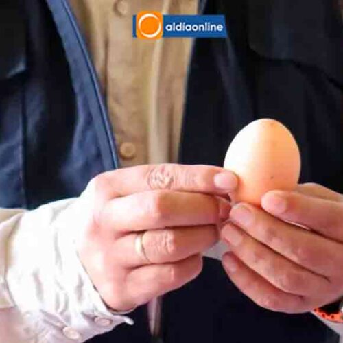 PRECIO DEL HUEVO GENERA CONTROLES  EN LATACUNGA A DISTRIBUIDORES ANTE ESPECULACIÓN DE ALZA