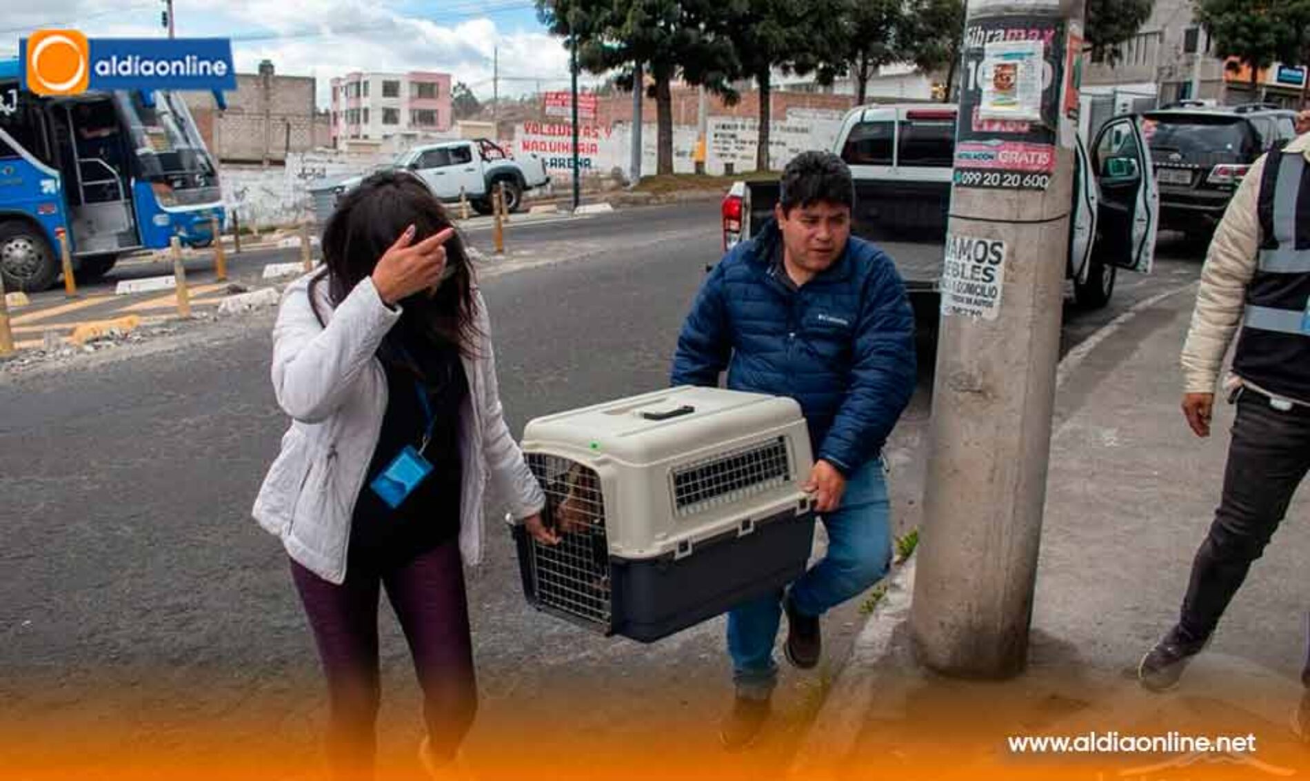 DENUNCIA CIUDADANA PERMITIÓ RESCATAR A UN PERRO EN CONDICIÓN DE VULNERABILIDAD EN TIOBAMBA