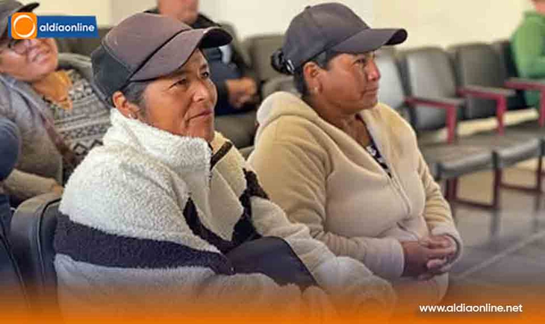 EN SAQUISILÍ AGROCALIDAD FORTALECE LA IDENTIFICACIÓN Y REGISTRO DEL GANADO BOVINO