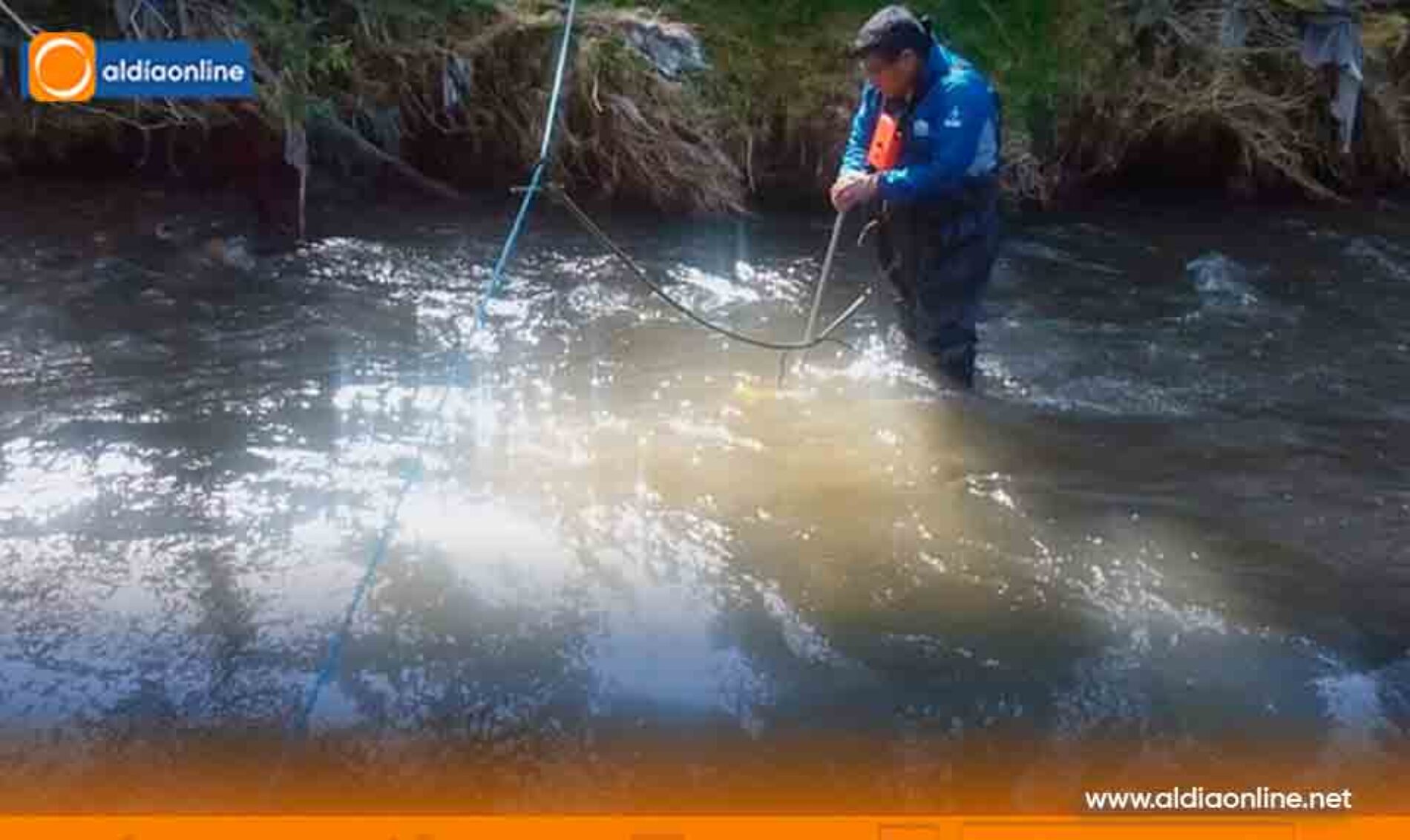 PIROTECNIA Y CONTAMINACIÓN ESTARÍAN CAMBIANDO LAS RUTAS DE AVES MIGRATORIAS EN COTOPAXI.(VIDEO)