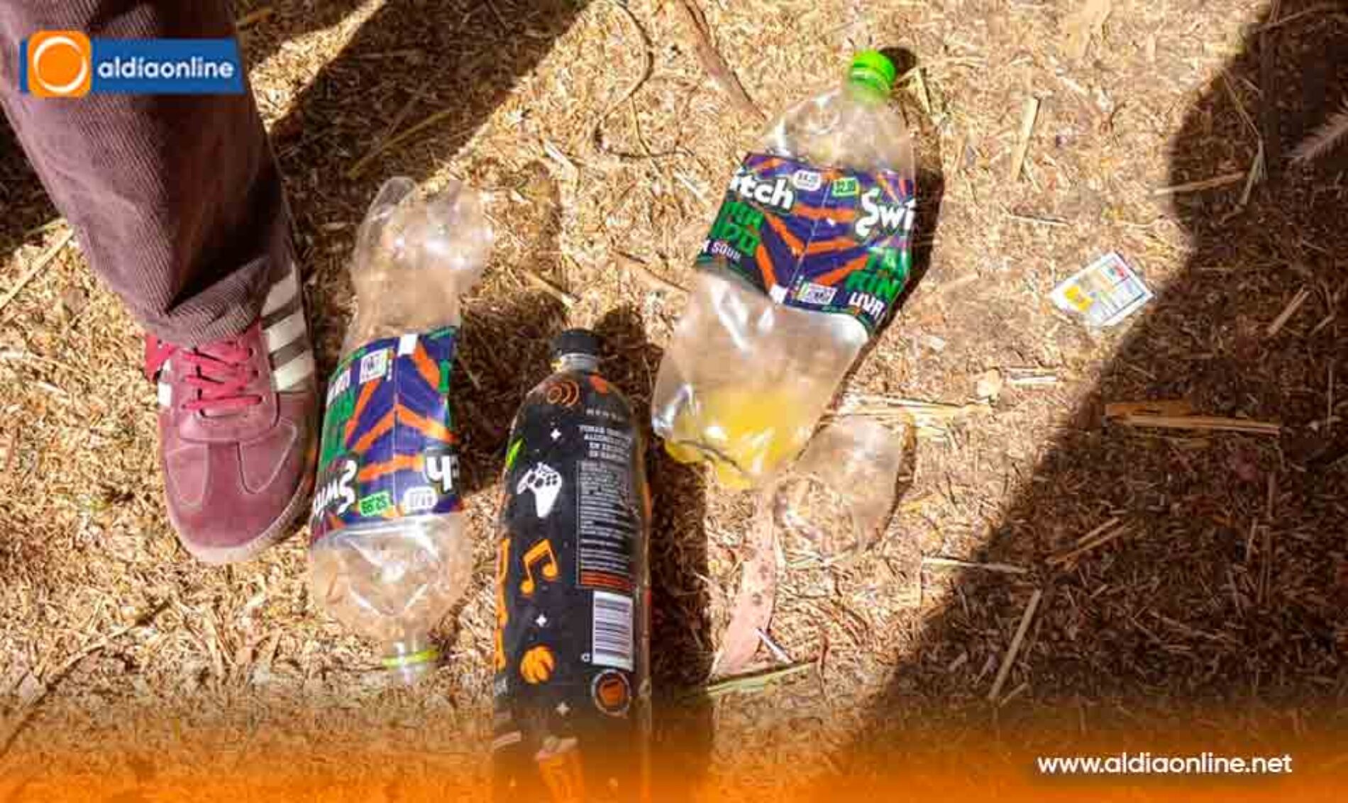 OPERATIVO EN ZUMBALICA DESARTICULA FIESTA CLANDESTINA CON ALREDEDOR DE 60 JÓVENES