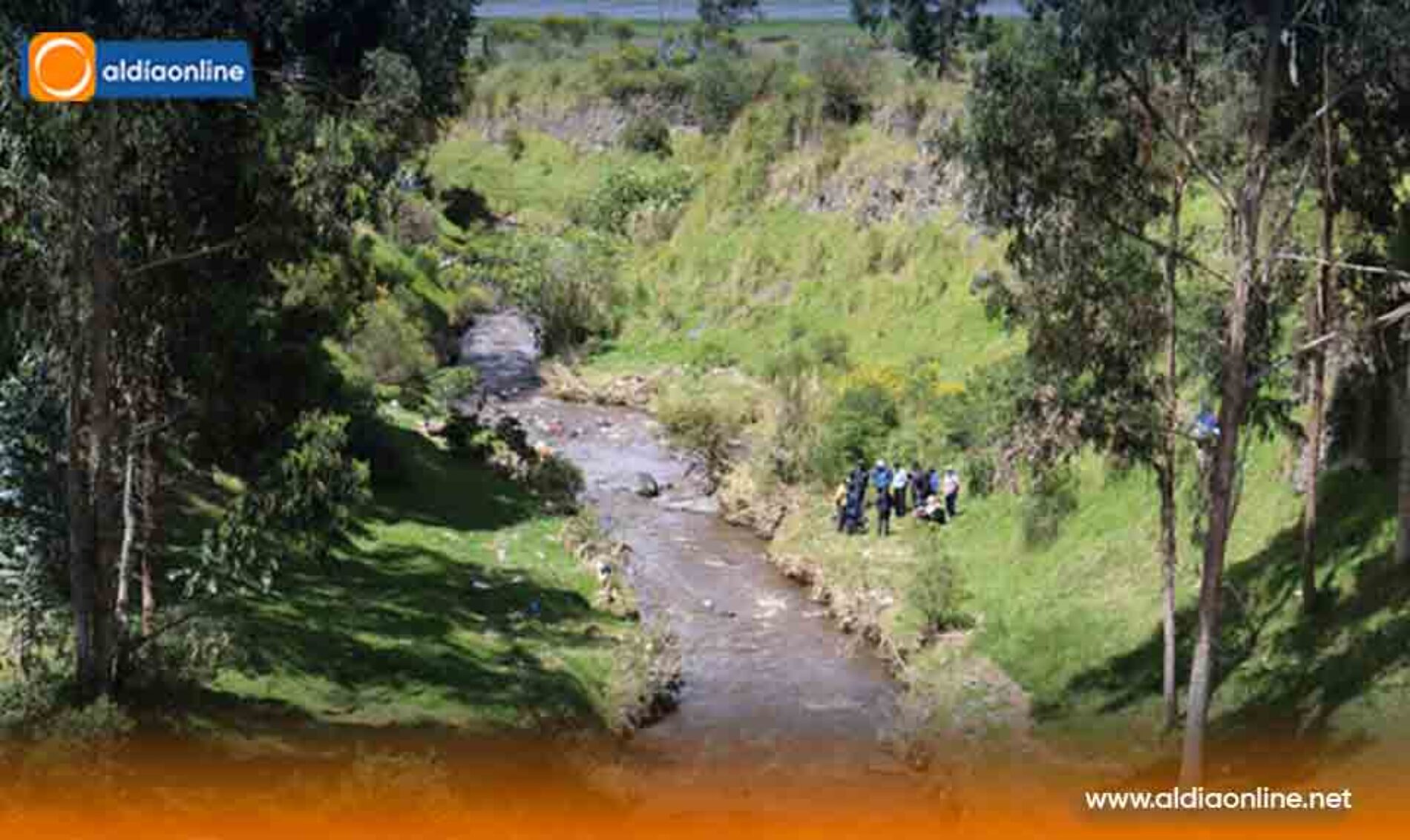 PIROTECNIA Y CONTAMINACIÓN ESTARÍAN CAMBIANDO LAS RUTAS DE AVES MIGRATORIAS EN COTOPAXI.(VIDEO)