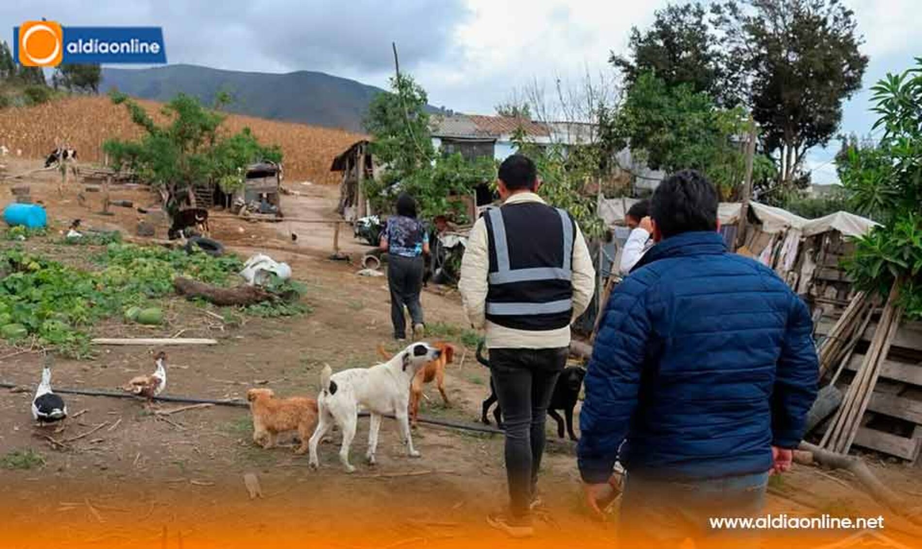 DENUNCIA CIUDADANA PERMITIÓ RESCATAR A UN PERRO EN CONDICIÓN DE VULNERABILIDAD EN TIOBAMBA