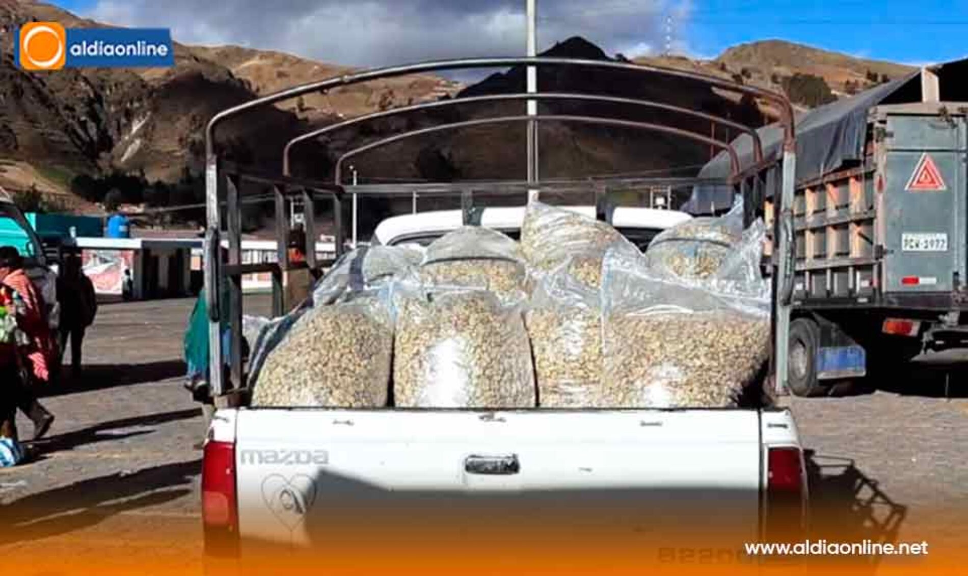 MÁS DE 1.000 PRODUCTORES DE ZUMBAHUA RECIBEN SEMILLAS PARA IMPULSAR LA SEGURIDAD ALIMENTARIA