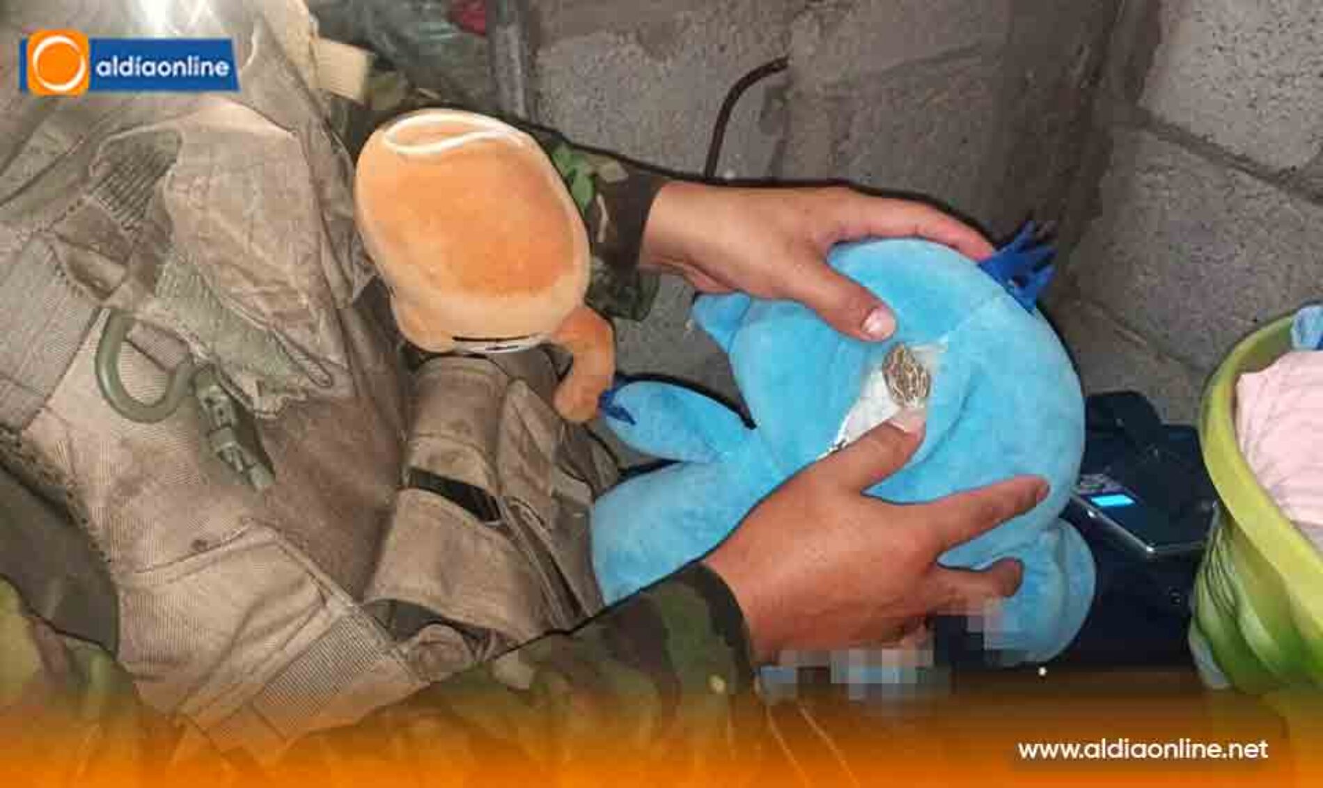 FUERZAS ARMADAS INCAUTAN SUSTANCIAS Y MOTOCICLETA DURANTE OPERACIÓN MILITAR