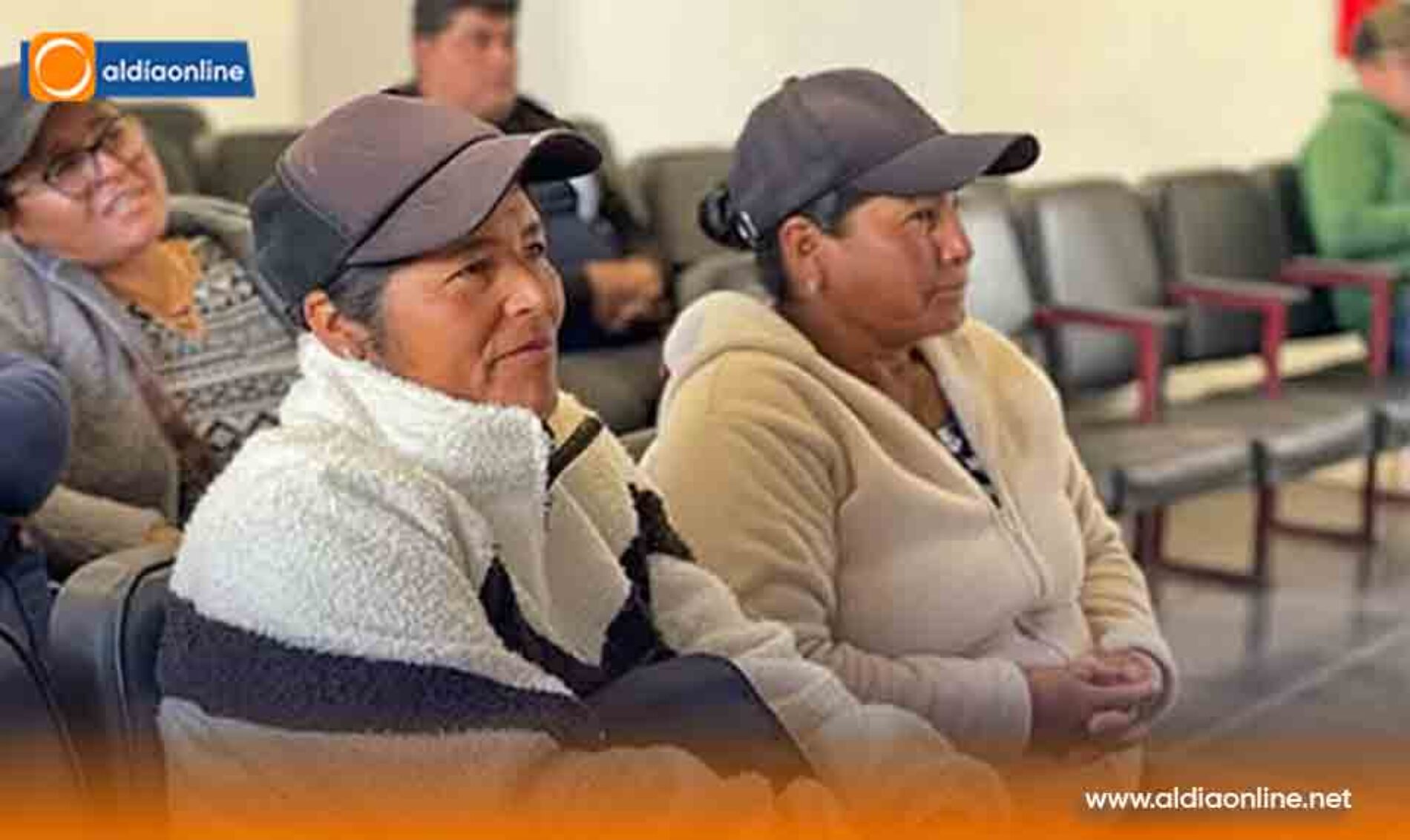 EN SAQUISILÍ AGROCALIDAD FORTALECE LA IDENTIFICACIÓN Y REGISTRO DEL GANADO BOVINO