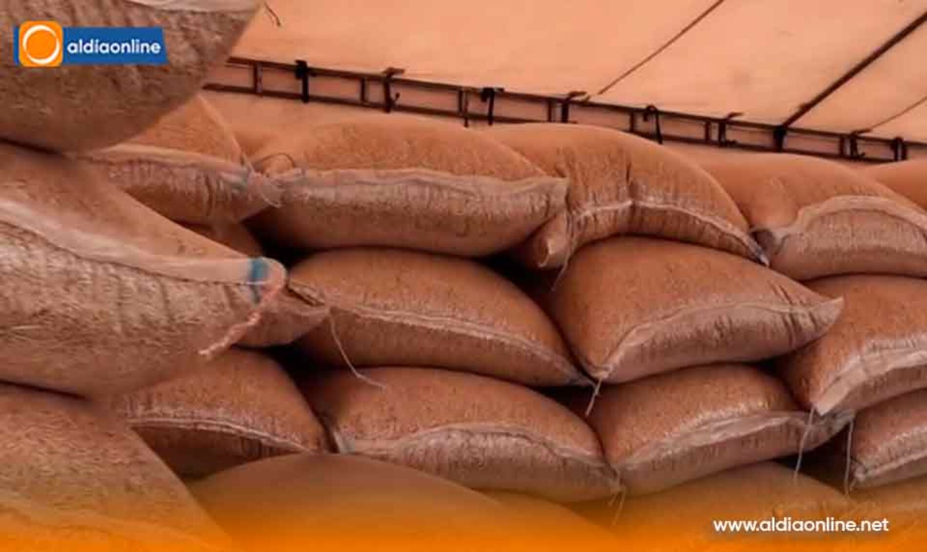 MÁS DE 1.000 PRODUCTORES DE ZUMBAHUA RECIBEN SEMILLAS PARA IMPULSAR LA SEGURIDAD ALIMENTARIA