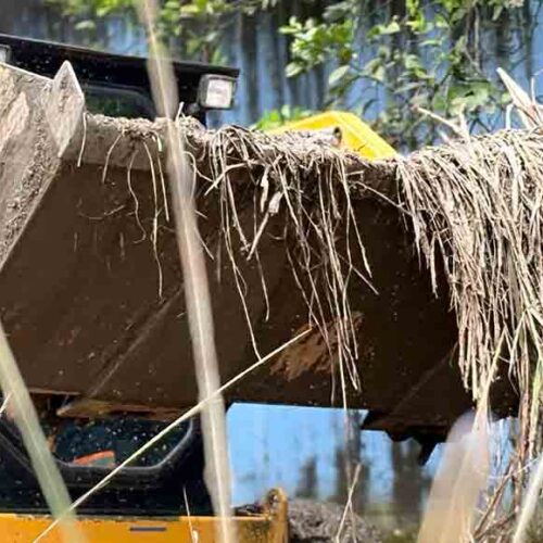 LA MANÁ EJECUTA JORNADA DE LIMPIEZA Y EMBELLECIMIENTO EN EL CENTRO GERONTOLÓGICO MUNICIPAL