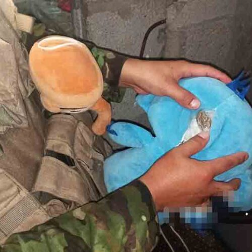 FUERZAS ARMADAS INCAUTAN SUSTANCIAS Y MOTOCICLETA DURANTE OPERACIÓN MILITAR