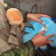 FUERZAS ARMADAS INCAUTAN SUSTANCIAS Y MOTOCICLETA DURANTE OPERACIÓN MILITAR
