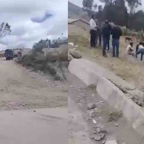 CAMIÓN CARGADO DE CHANCHOS PIERDE PISTA Y TERMINA SOBRE UNA VIVIENDA EN SARAUGSHA