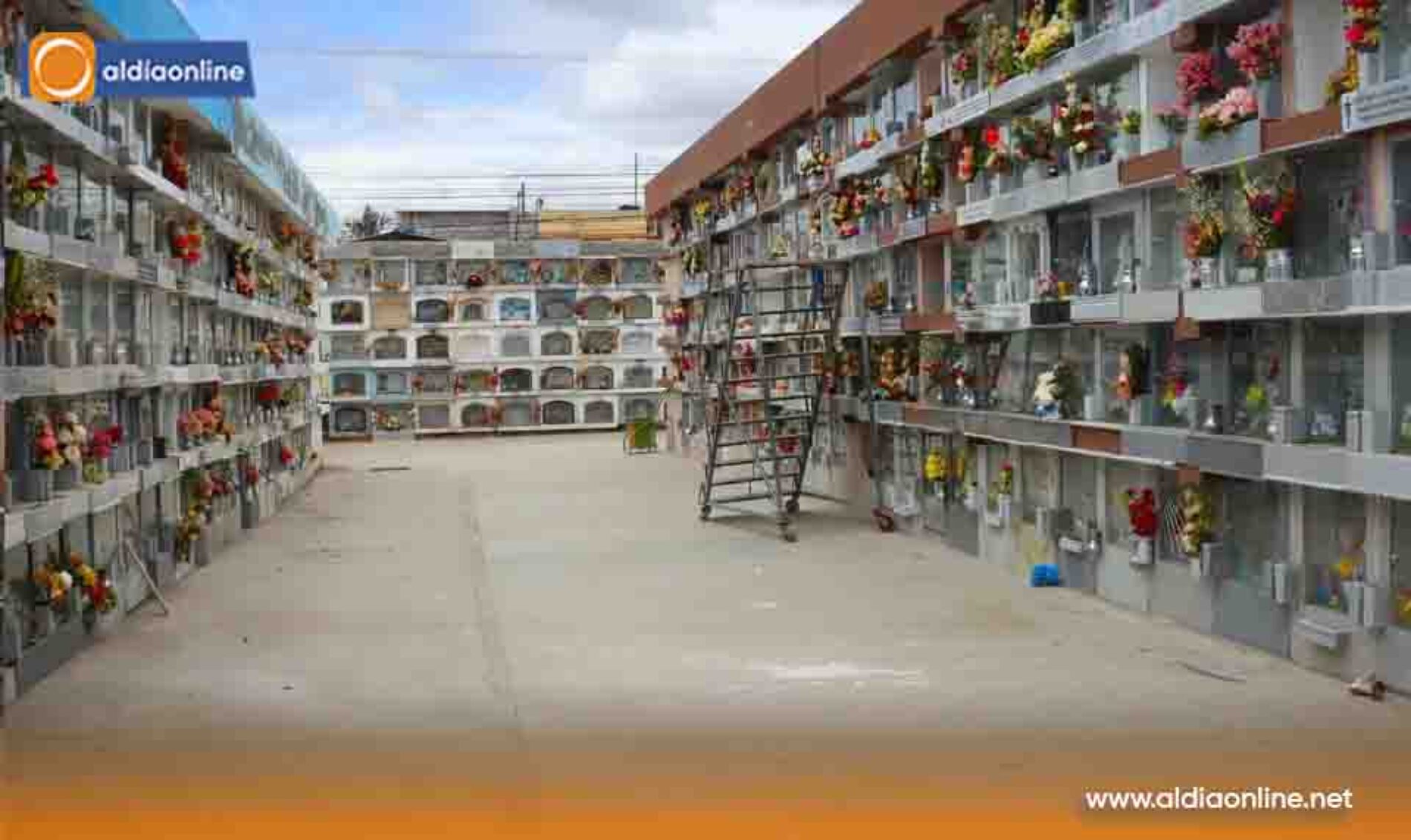 SERVICIOS PÚBLICOS FORTALECE CON  MEJORAS EN MERCADOS, CEMENTERIO  Y CONTROL DE FAUNA URBANA