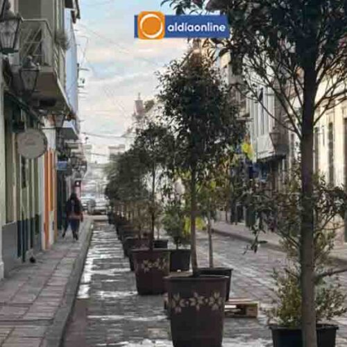MACETAS EN CALLES CÉNTRICAS DE LATACUNGA ES PARTE DEL LABORATORIO URBANO · CIUDAD VIVA