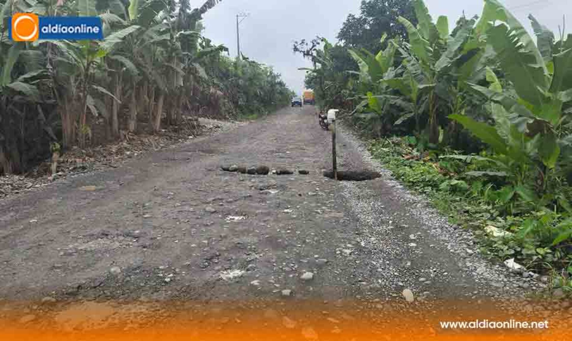 EN LA MANÁ COLAPSA ALCANTARILLA Y DEJA INCOMUNICADA A LA ZONA AGRÍCOLA NORTE