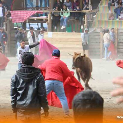 ¡PUJILÍ ENCIENDE LA FIESTA TAURINA! ARRANCARON LOS TOROS POPULARES CON CUATRO DÍAS DE TRADICIÓN Y CULTURA