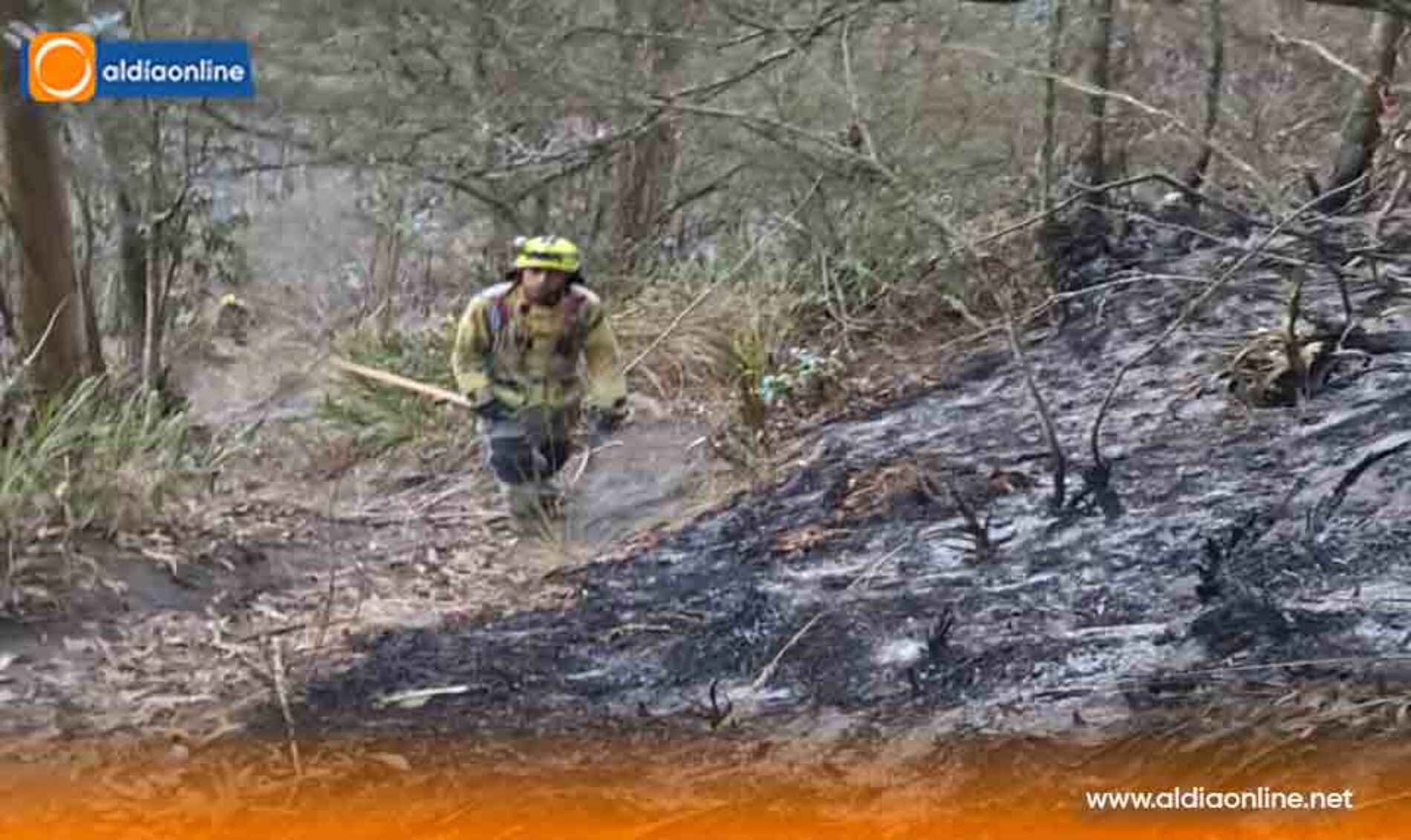 “BRIF A”  LATACUNGA REINICIA LABORES EN SU SEGUNDO DIA EN LOS INCENDIOS FORESTALES DE CHIMBORAZO