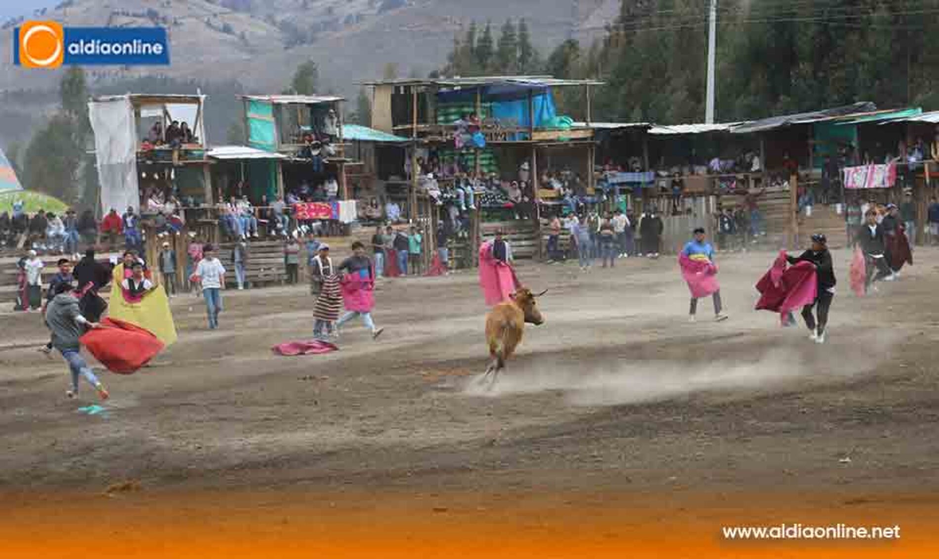 ¡PUJILÍ ENCIENDE LA FIESTA TAURINA! ARRANCARON LOS TOROS POPULARES CON CUATRO DÍAS DE TRADICIÓN Y CULTURA