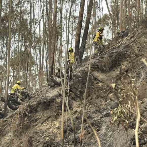 “BRIF A”  LATACUNGA REINICIA LABORES EN SU SEGUNDO DIA EN LOS INCENDIOS FORESTALES DE CHIMBORAZO