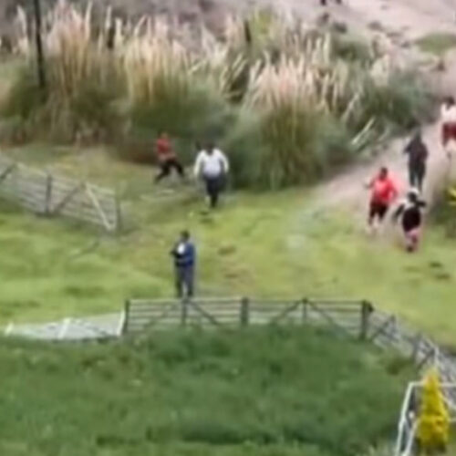 SAQUISILÍ EN ALERTA PERROS FERALES ATACAN A OVEJAS Y GENERAN PÉRDIDAS EN VARIAS COMUNIDADES