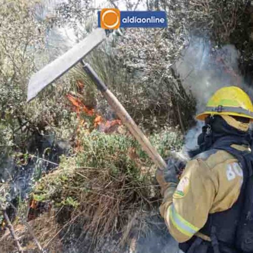 EL FUEGO ARRASA CON 8 HECTÁREAS DE VEGETACIÓN EN BOMBEROS COMBATIERON INCENDIO FORESTAL EN GUANGAJE