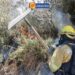 EL FUEGO ARRASA CON 8 HECTÁREAS DE VEGETACIÓN BOMBEROS COMBATIERON INCENDIO FORESTAL EN GUANGAJE